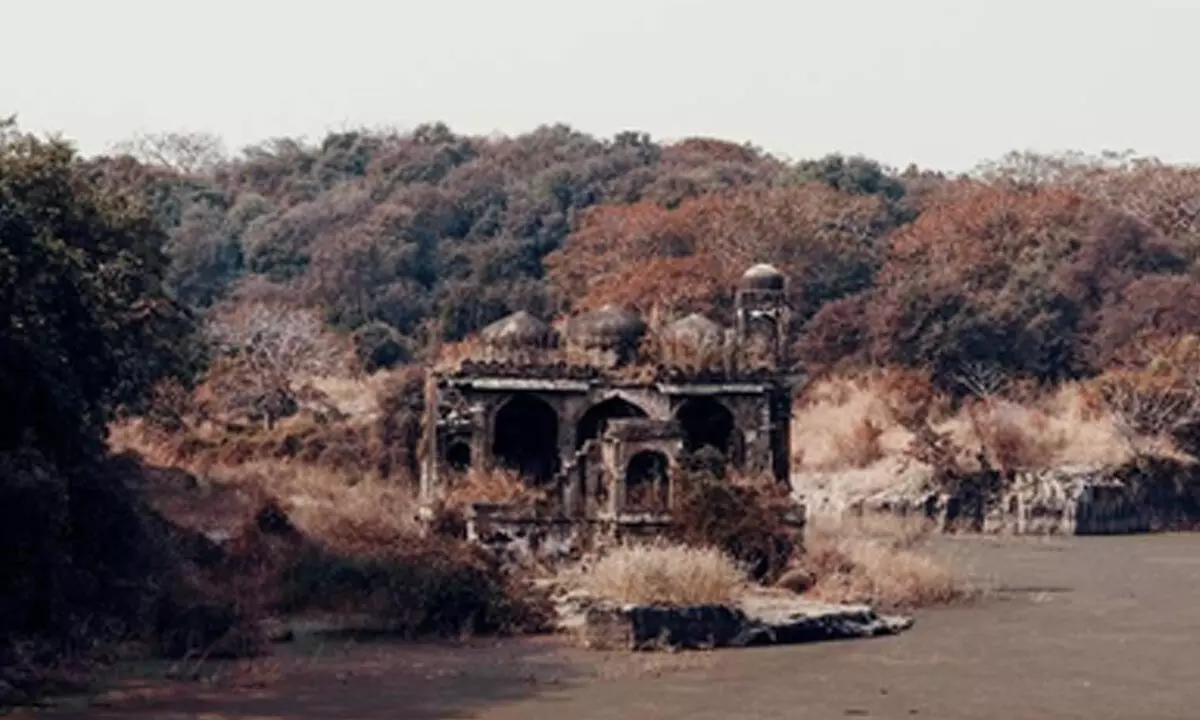 Mobile Phones Banned During Safaris at Ranthambore to Prevent Wildlife Disturbance