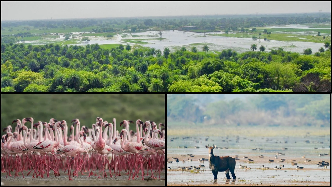 छारी-ढांध आर्द्रभूमि को वैश्विक रामसर मानचित्र में शामिल किया गया, जैव विविधता को अंतरराष्ट्रीय मान्यता