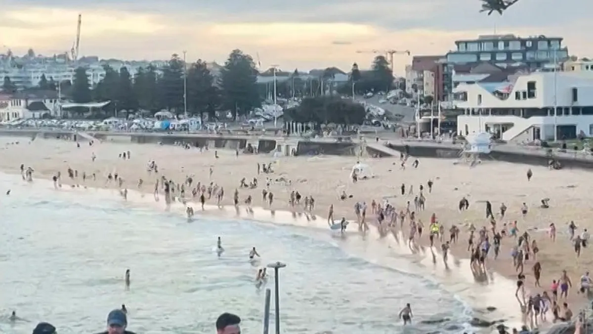 Bondi Beach Shooting: Bystander Who Tackled Armed Man Hailed as Hero