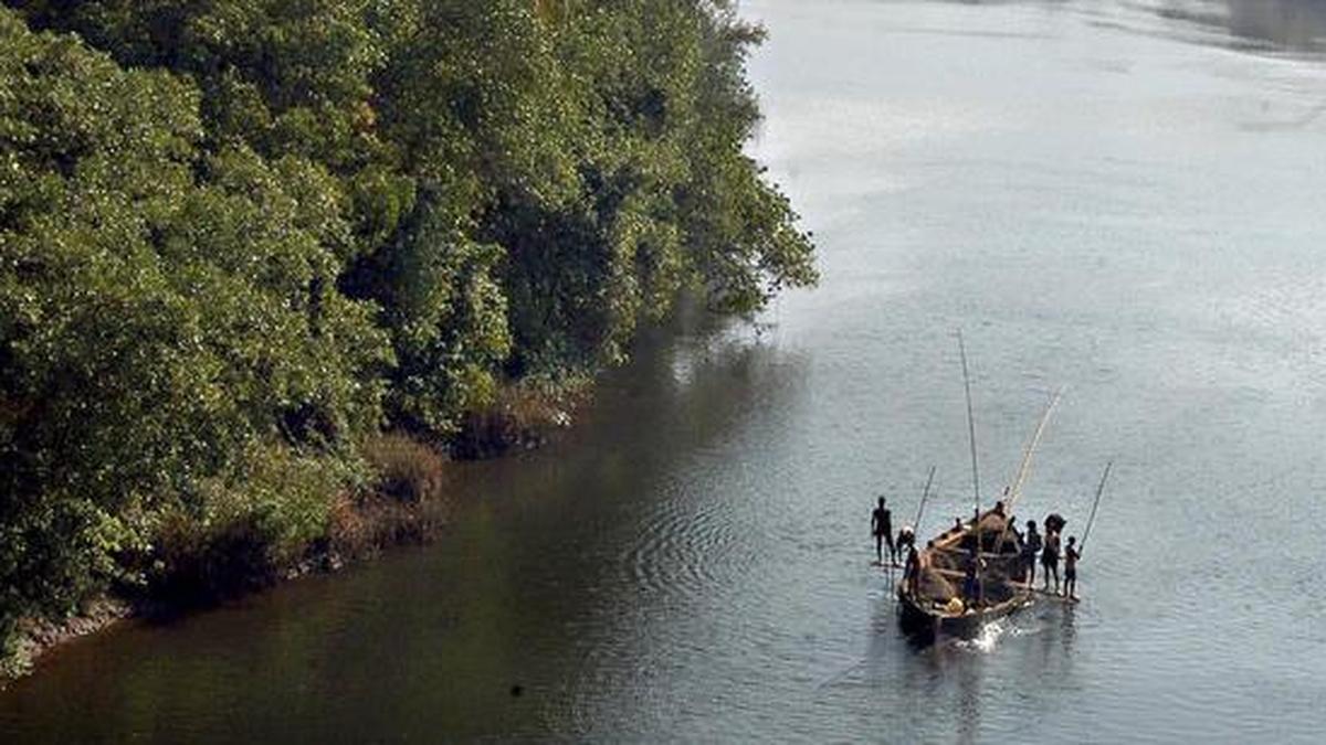 Microplastics Found Threatening Goa’s Estuarine Fish and Human Health