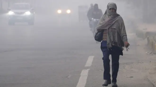 WMO Report: Global Atmospheric CO₂ Levels Hit Record High, Raising Climate Concerns