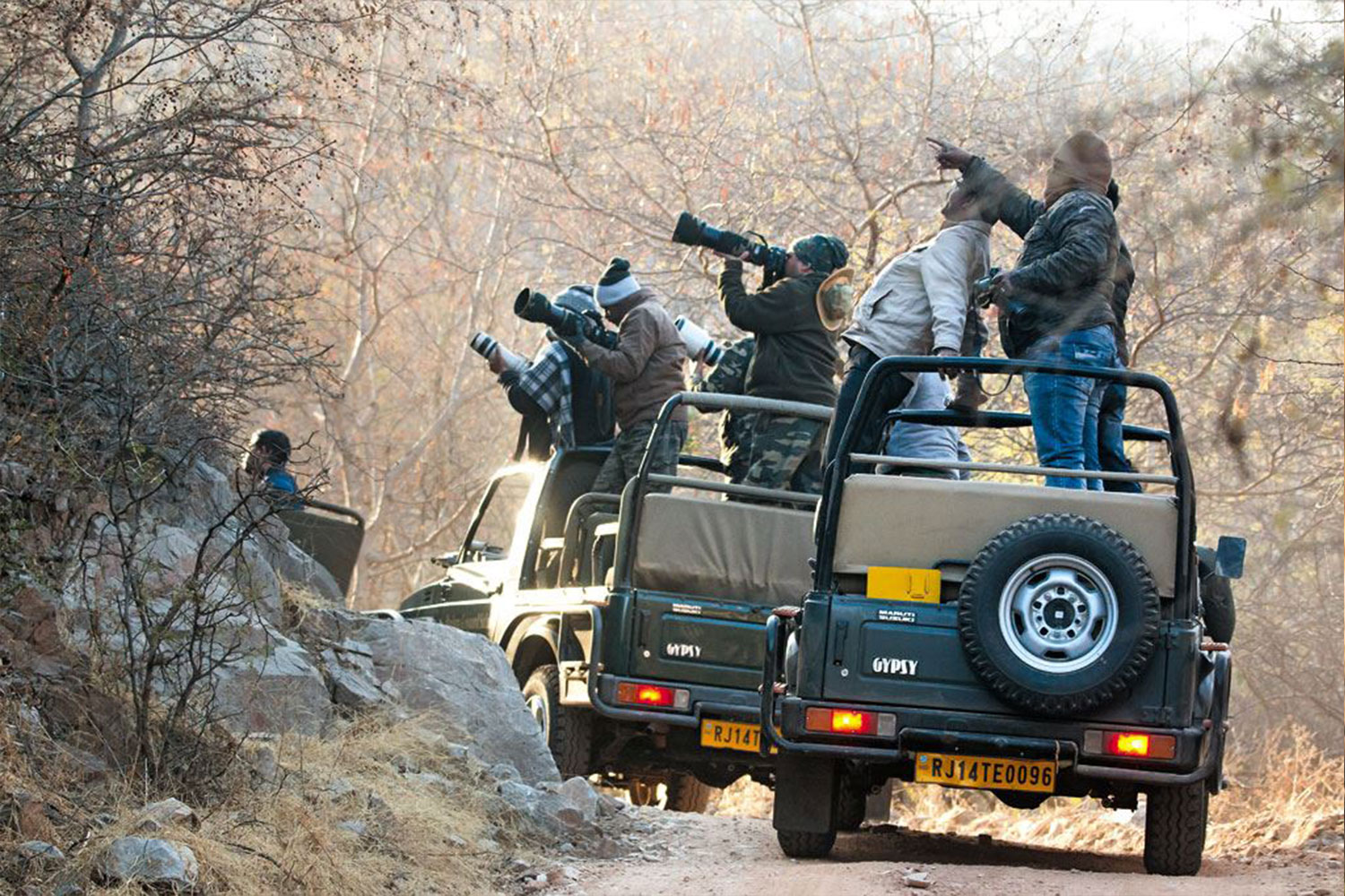 Exploring the Wild Beauty of Jawai Dam Safari: Leopards, Landscapes & Luxury in Rajasthan
