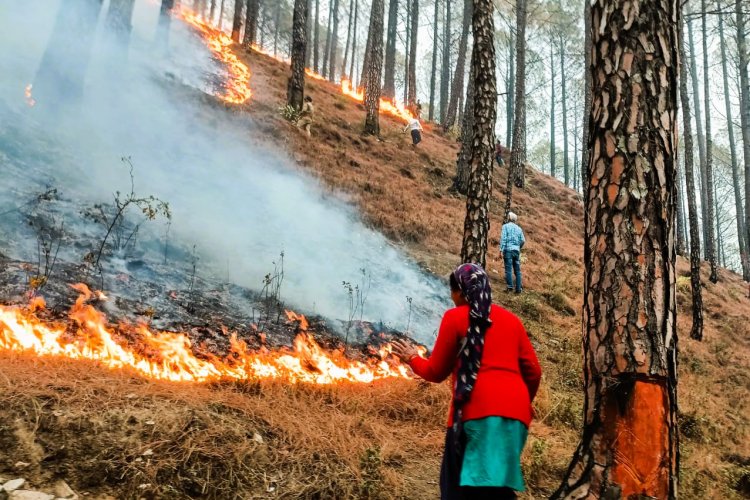 Climate Change Fuels Uttarakhand Wildfires, Threatening Fragile Himalayan Ecosystems