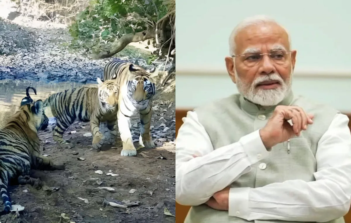 दिल्ली समिट से पहले भारत की बड़ी पहल: बिग कैट संरक्षण के लिए वैश्विक संधि गठबंधन का आह्वान