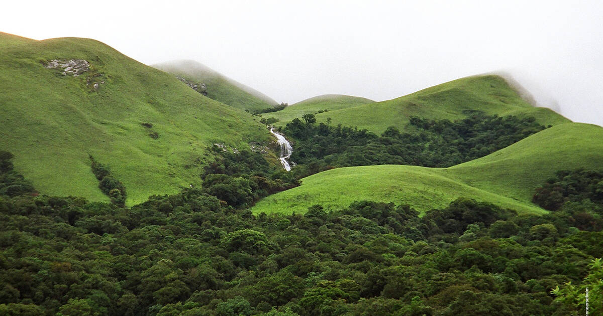Why the IUCN Has Red-Flagged India’s Western Ghats: Full Explanation